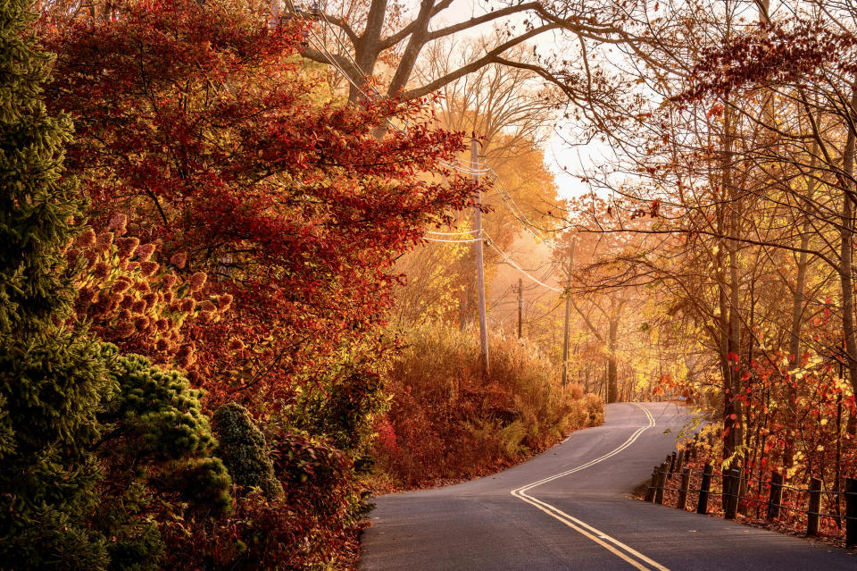 Empty road amidst trees during autumn near Lake Waramaug, Connecticut