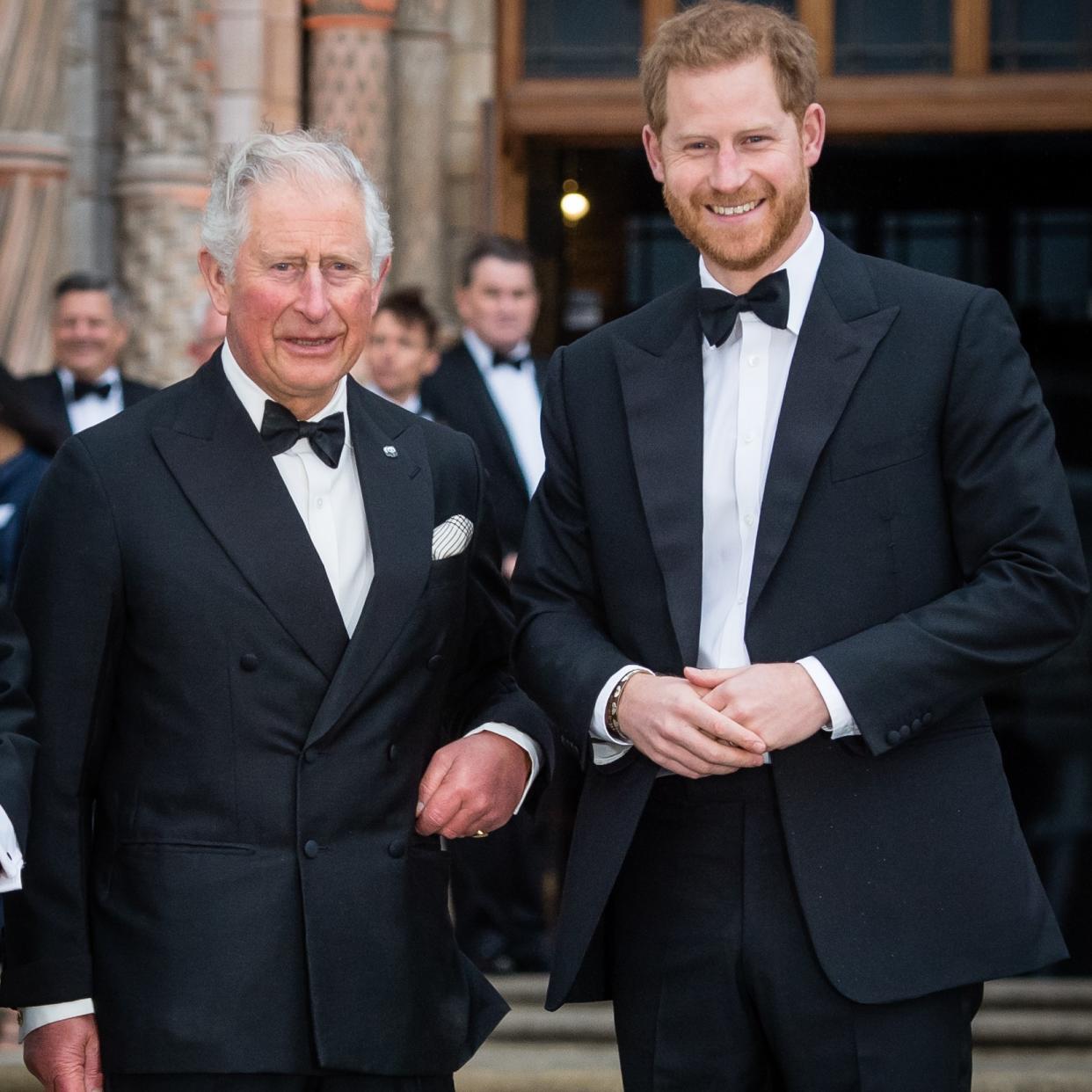  King Charles and Prince Harry at a royal engagement. 