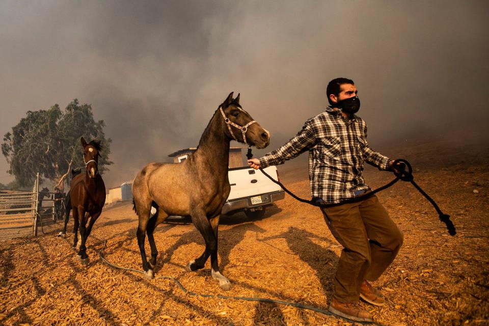 Ranchers evacuate horses in a burning ranch as the Easy Fire spreads near Simi Valley, North of Los Angeles, Calif., on Oct. 30, 2019. (Photo: Etienne Laurent/EPA-EFE/Shutterstock)