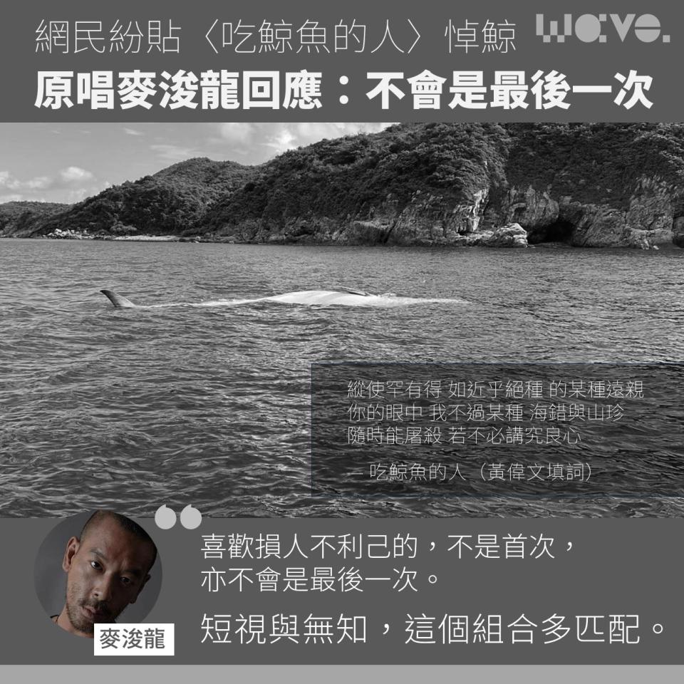 網民紛貼〈吃鯨魚的人〉悼鯨　原唱麥浚龍回應：不會是最後一次