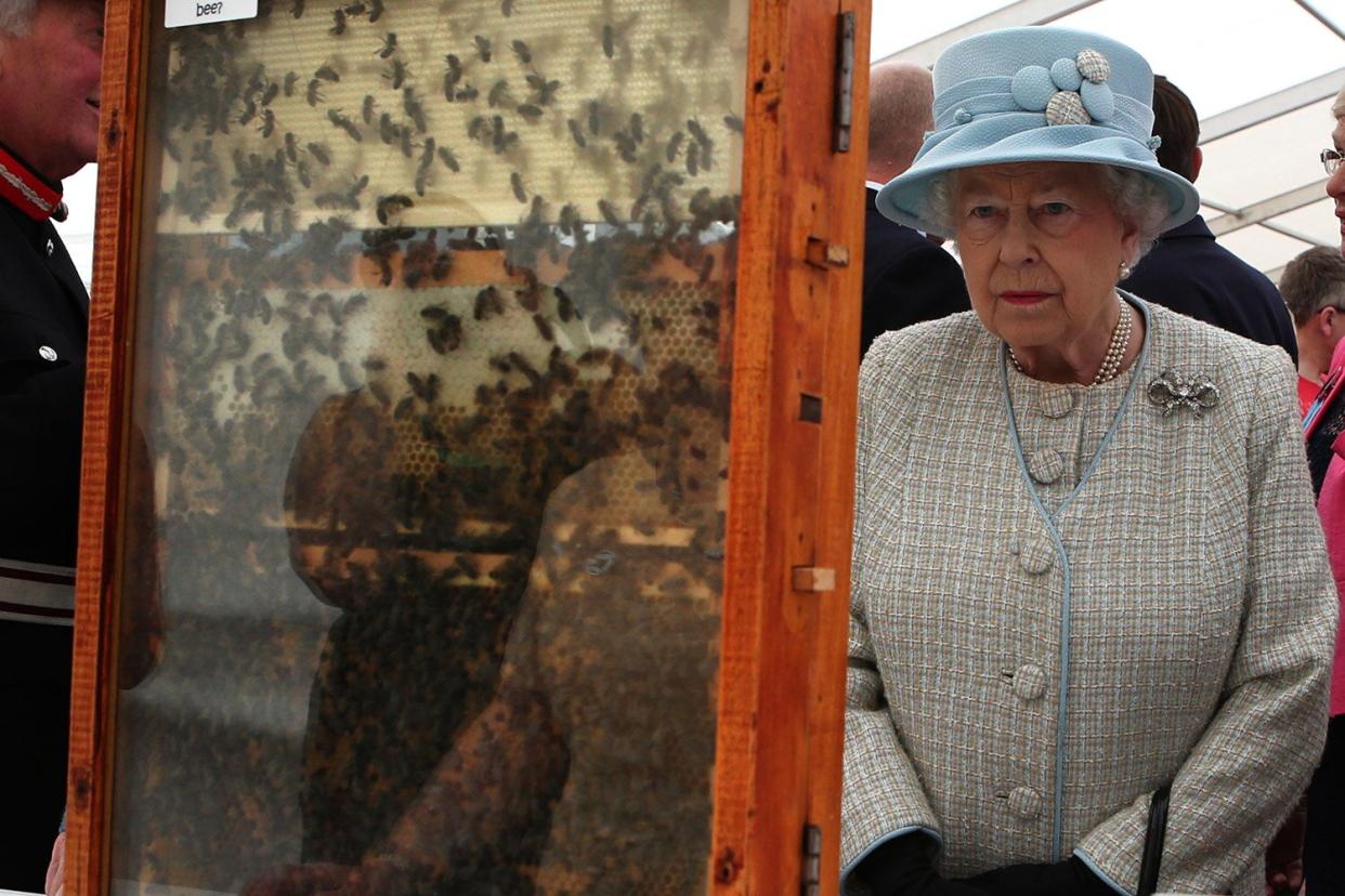 Queen Elizabeth II at the Aberdeen Bee Keepers Association