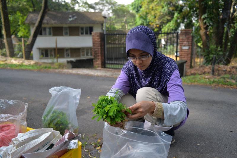 Fitrah was a student activist during her undergraduate years at UM, and subsequently joined several other NGOs where she was known as someone very passionate about the environment. ― Picture courtesy of KAMY