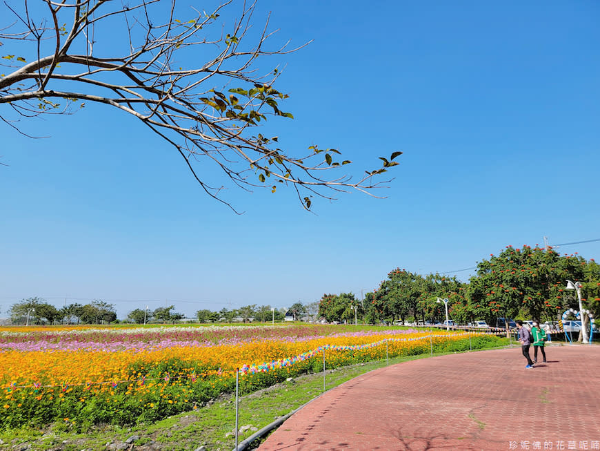 屏東｜新埤鄉綜合休閒公園