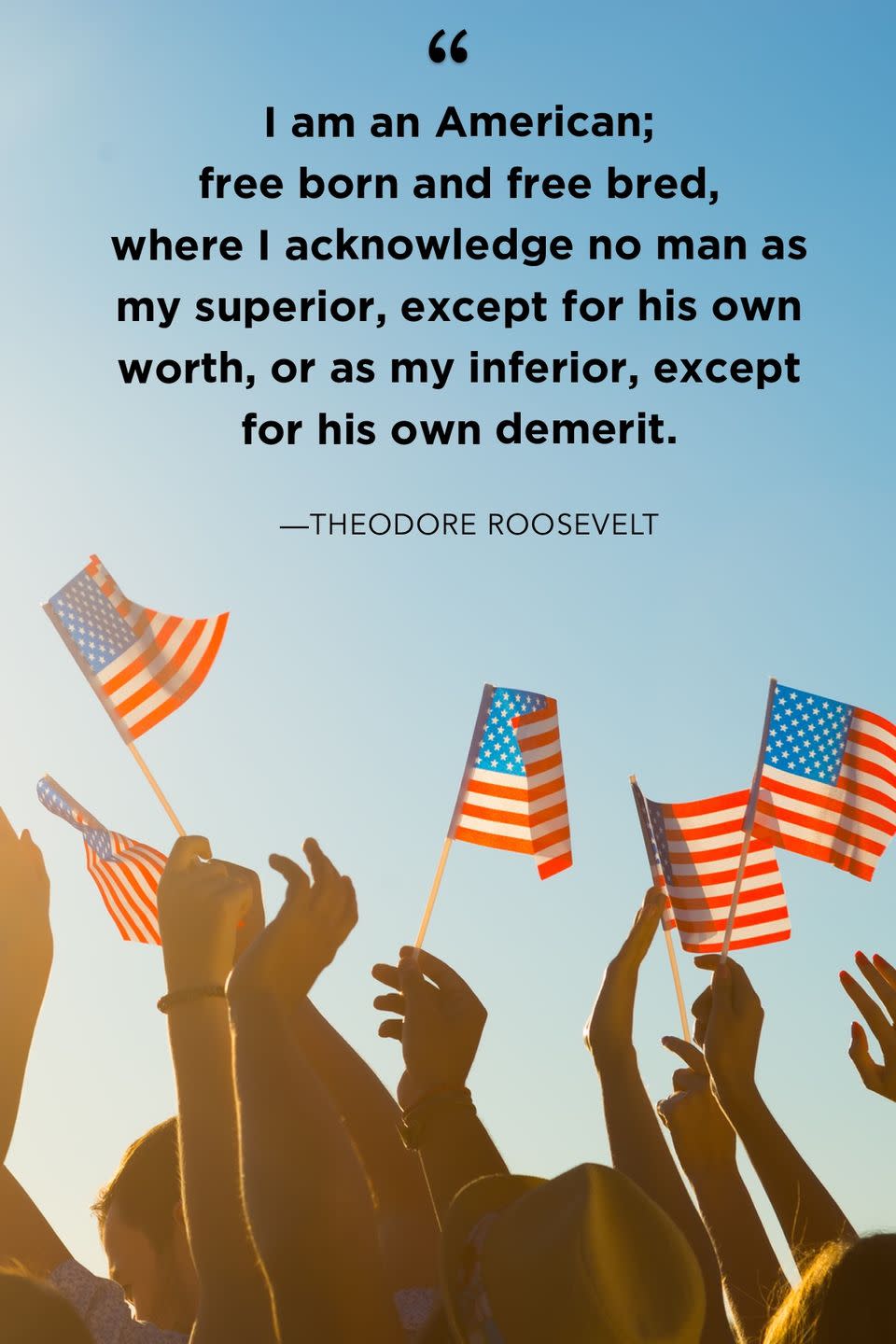 Theodore Roosevelt