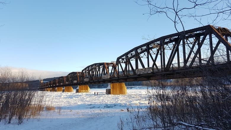 A decade after it was destroyed by ice jams, Prince George considers how to rebuild popular park