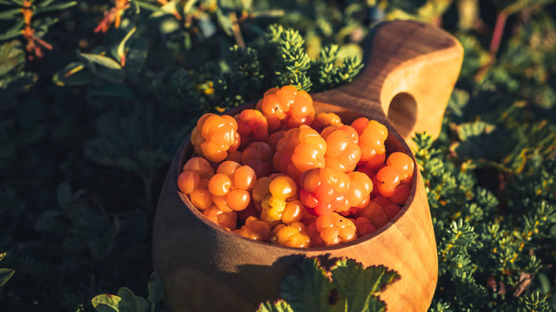 wild picked cloudberries