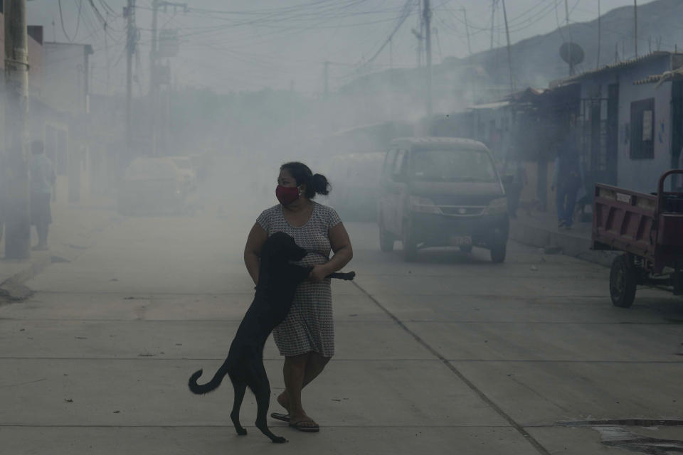 Un mujer sujeta a su perro durante la campaña de fumigación contra mosquitos para ayudar a mitigar la expansión de los casos de dengue en el barrio de Las Peñitas de Talara, Perú, el viernes 1 de marzo de 2024. Perú declaró la emergencia de salud en la mayoría de sus regiones el 26 de febrero ante el aumento de casos de dengue. (AP Foto/Martín Mejía)