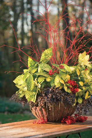  Robbie Caponetto / Styling Buffy Hargett Don't just think indoors when it comes to decorating. You can show a sense of style outside as well. One of our resident garden gurus showed us how to make this arrangement. First he placed florist foam in the center of an old hanging basket. Then he simply pressed clippings of aucuba and berries from nandina and privet into the foam. For a finishing touch, he spray-painted dogwood branches a bright red and used them to add a little drama and height.