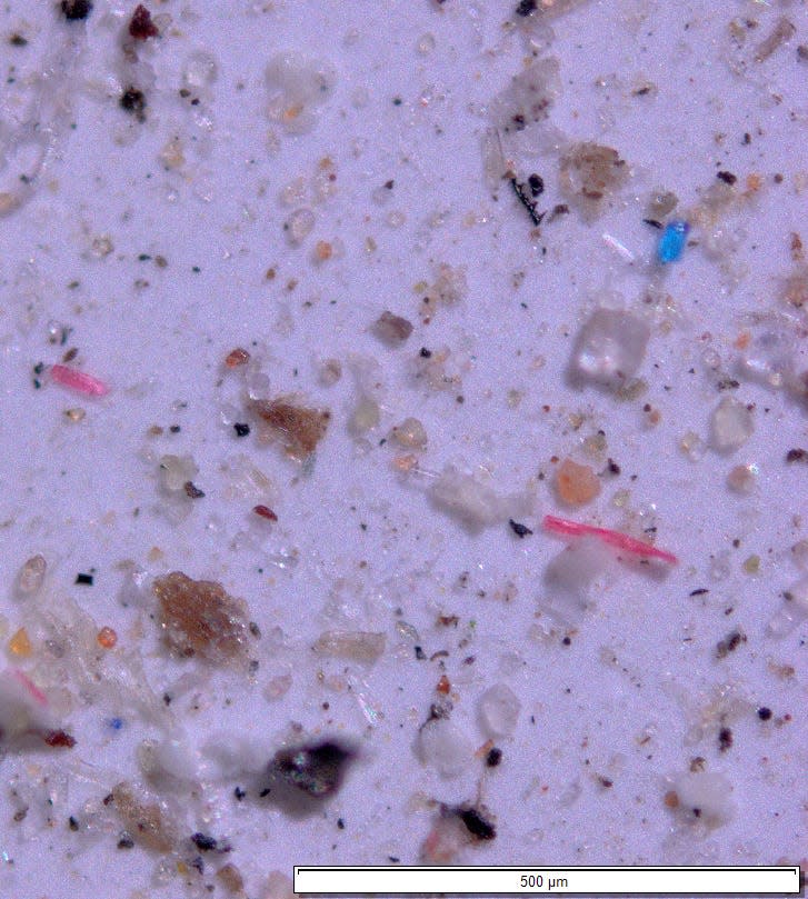 FILE - Powerful magnification allowed researchers to count and identify microplastic beads and fragments that were collected in 11 national parks and wilderness areas over 14 months of sampling.