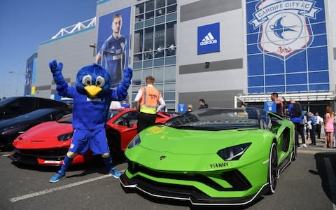  Bartley the Bluebird, mascot of Cardiff City, poses for a photograph outside the stadium prior to the Premier League match between Cardiff City and Liverpool - Credit: GETTY IMAGES