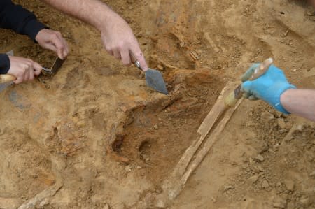 Army veterans and archeologists dig as part of archaeological research campaign called "Waterloo Uncovered" in Waterloo