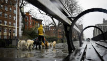 Dogs are walked along Brooklyn Heights Promenade during a rainy day, Friday April 5, 2019, in New York. The promenade makes up the top deck overhang of a deteriorating Brooklyn-Queens Expressway and the city's plans for repairs has drawn neighborhood protest, since it calls for a temporary six lane highway on the promenade. (AP Photo/Bebeto Matthews)