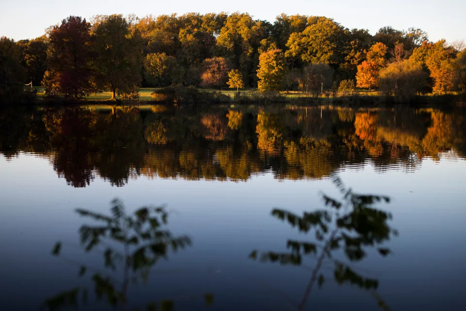 Autumn colors at Bellevue State Park. 