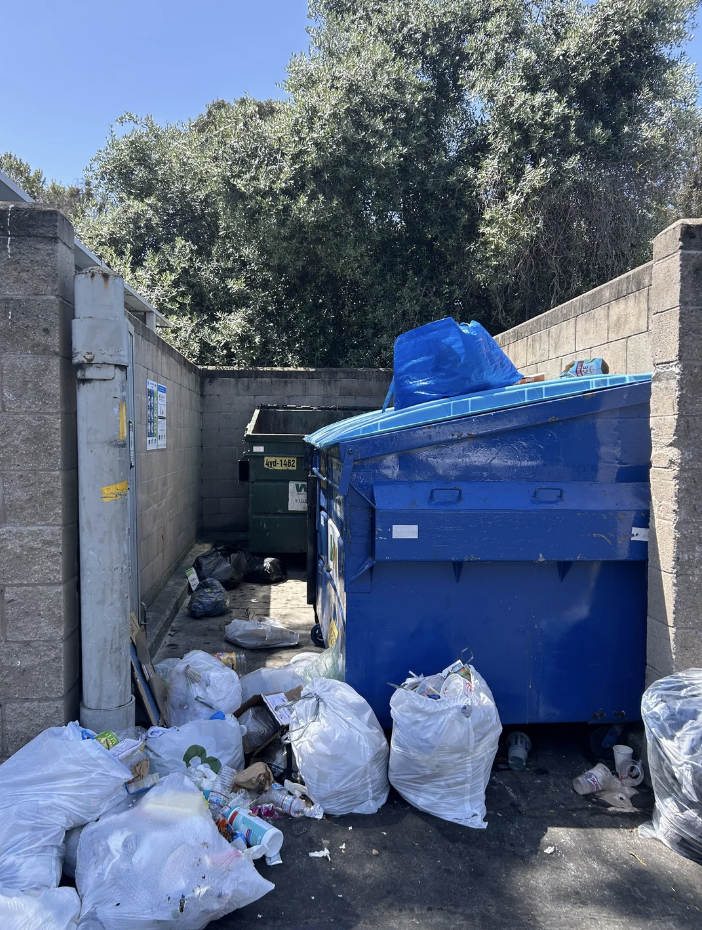 Trash bags and litter are strewn around a blue dumpster and a green dumpster, beside a concrete wall with trees in the background