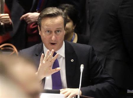 British Prime Minister David Cameron gestures during the EU Eastern Partnership summit in Vilnius November 29, 2013. REUTERS/Ints Kalnins