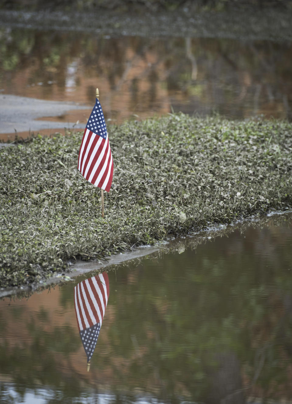 A small U.S. flag stands in a flooded yard in Waterville. Minn., Tuesday, June 25, 2024. A vast swath of lands from eastern Nebraska and South Dakota to Iowa and Minnesota has been under siege from flooding of torrential rains since last week, while also being hit with a scorching heat wave. (Casey Ek/The Free Press via AP)