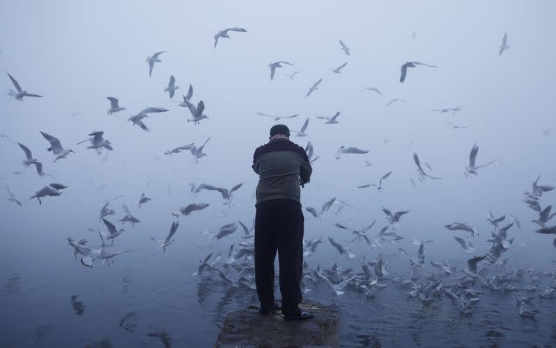 A man feeds seagulls as he stands on the banks of the Yamuna river on a foggy winter morning in New Delhi