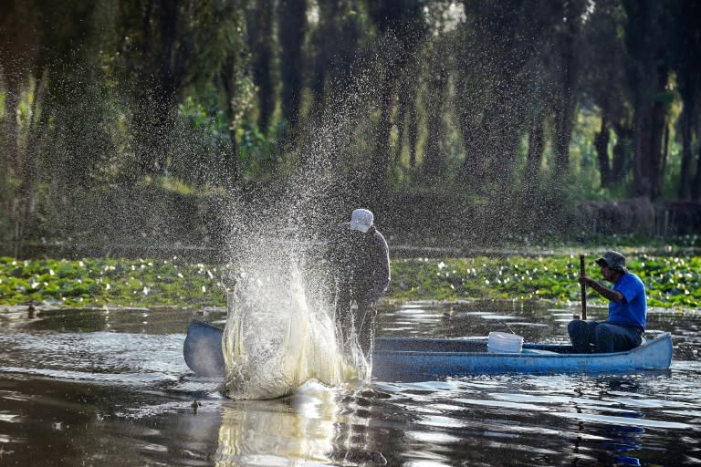 A dwindling number of fishermen work the floating gardens of Xochimilco in Mexico City, catching carp and and tilapia -- invasive species that are threatening an already strained ecosystem