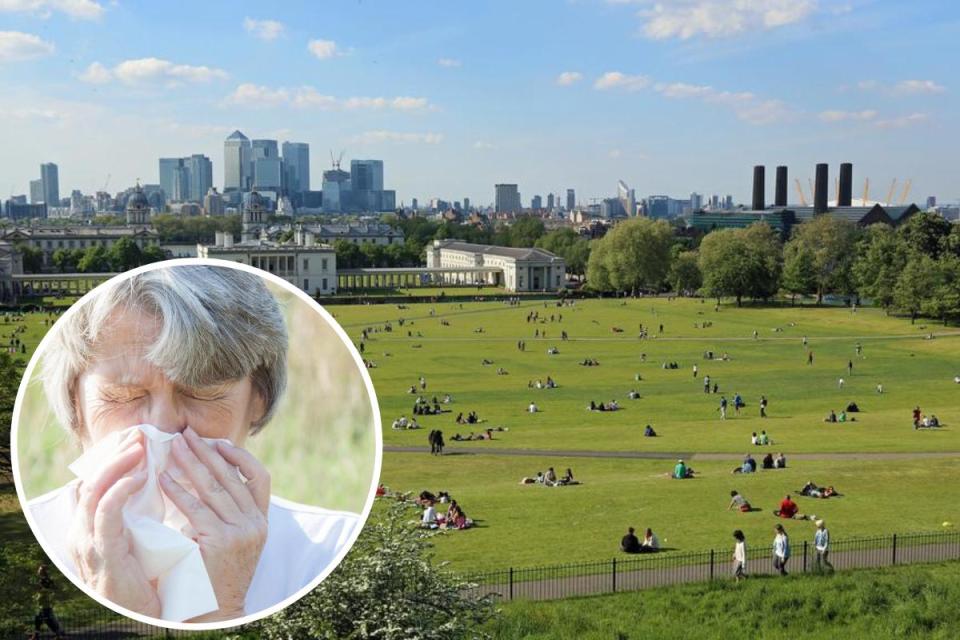 The south London park with the lowest pollen count perfect for hay fever sufferers