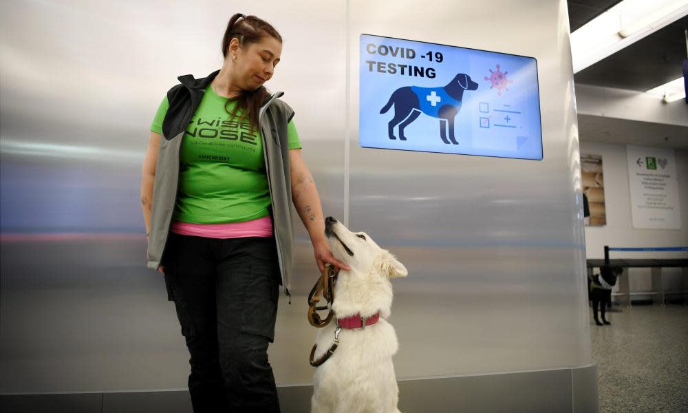 <span>Photograph: Antti Aimo-Koivisto/Lehtikuva/AFP/Getty Images</span>