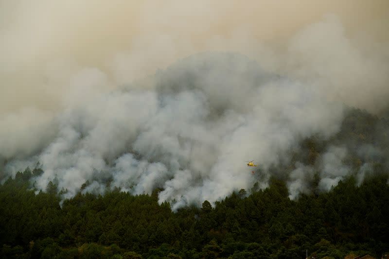 FILE PHOTO: Tenerife forest fire, Canary Islands
