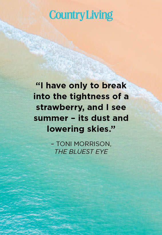 Absolutely Beautiful Quotes About Summer