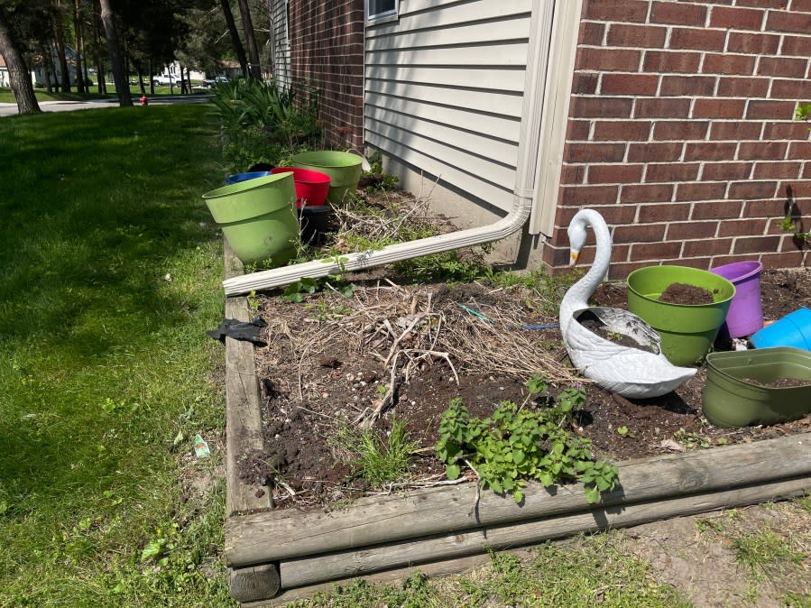 Residents at Grange Acres are upset they’ve been ordered to remove gardens from their rented areas. (WLNS)