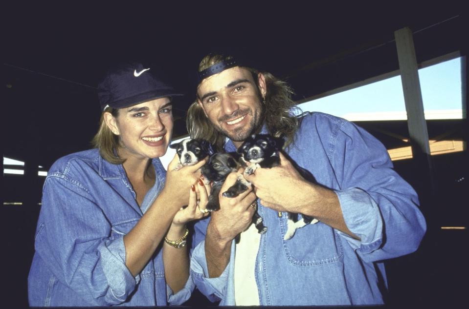 Brooke Shields & Andre Agassi