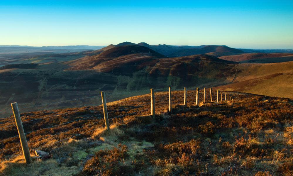 <span>Photograph: Keith Fergus/Alamy</span>