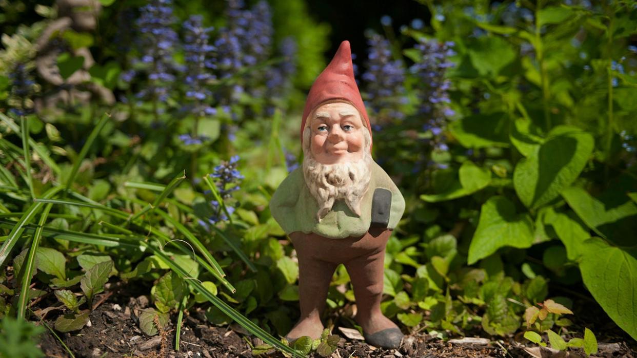 Garden gnome