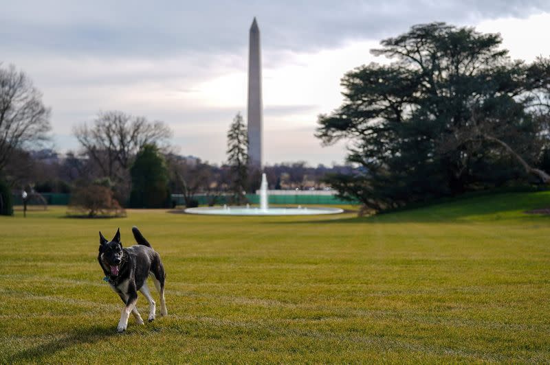 FILE PHOTO: Major explores the South Lawn after on his arrival from Delaware at the White House