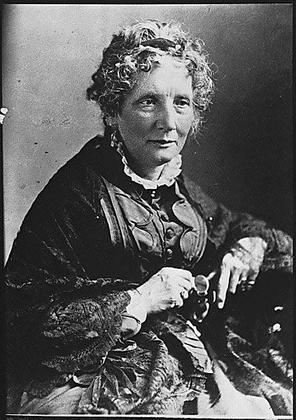 "Uncle Tom's Cabin" author Harriet Beecher Stowe, who had a winter home in Mandarin, wrote numerous articles about Florida's natural beauty, some of which were collected in her book "Palmetto-Leaves." They were influential in encouraging Northern tourists to escape winters up there and come to Florida.