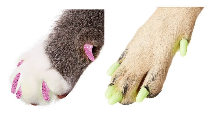Not a couch, but potentially crucial: Purrdy Paws soft nail caps