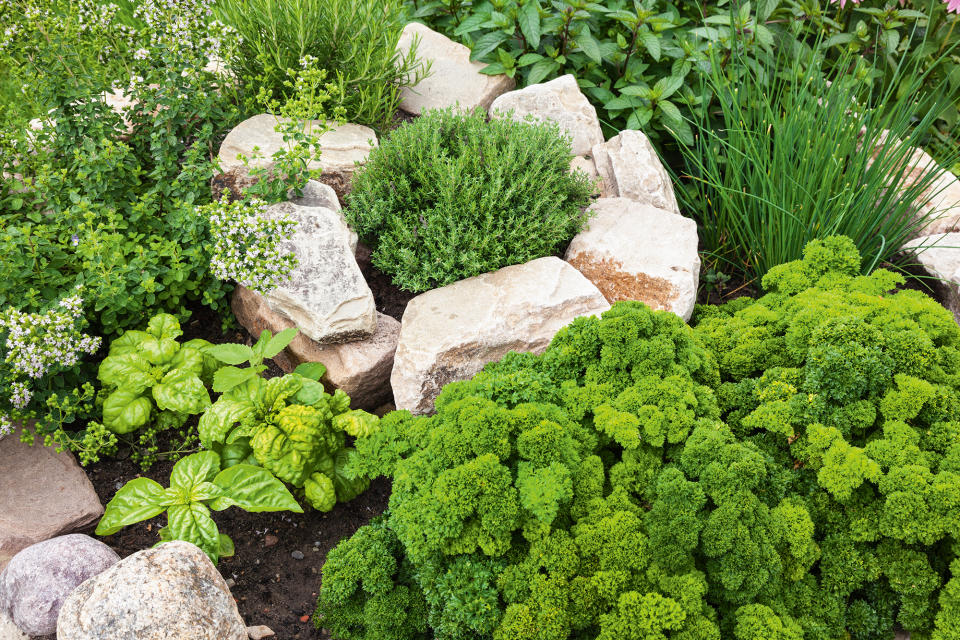 4. Plant a herb garden rockery