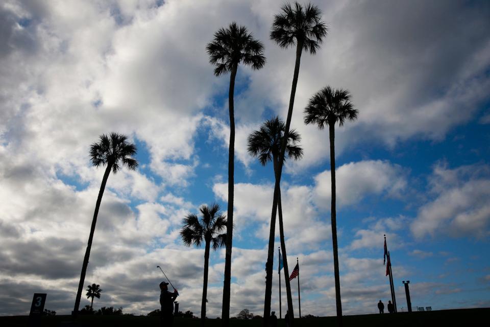 The TPC Sawgrass will host the Vision Cup this week.