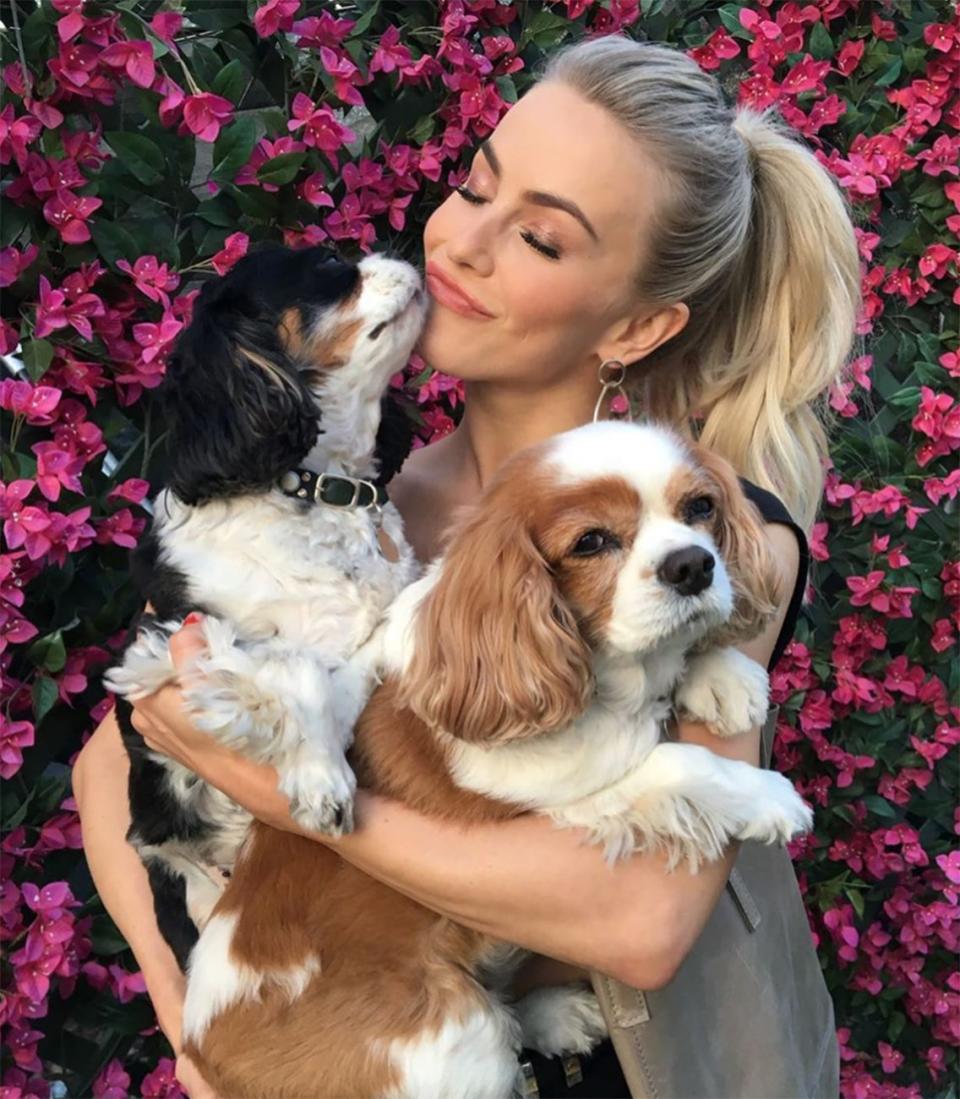 On October 12, Julianne Hough <a href="https://people.com/pets/julianne-hough-mourns-death-dogs-lexi-harley/" rel="nofollow noopener" target="_blank" data-ylk="slk:shared tragic personal news on Instagram;elm:context_link;itc:0;sec:content-canvas" class="link ">shared tragic personal news on Instagram</a>: both of her Cavalier King Charles spaniels, Lexi and Harley, died on Sept. 28. The <em>America's Got Talent </em>judge, 31, did not reveal the cause of death, but she did share the deep love she still has for her pets. "Pure love is real, it existed through us. My heart expanded and felt the truth of what is possible. I am forever grateful," Hough <a href="https://www.instagram.com/p/B3hpM7IHVUF/?utm_source=ig_embed&utm_campaign=dlfix" rel="nofollow noopener" target="_blank" data-ylk="slk:captioned a series of photos and videos of the dogs;elm:context_link;itc:0;sec:content-canvas" class="link ">captioned a series of photos and videos of the dogs</a>. She continued the tribute post with expressions of gratitude for Lexi and Harley. "Thank you for your love. Thank you for being my babies, my daughters. Thank you for choosing me. Thank you for teaching me how to be your mother. Thank you for allowing me to give and receive love," Hough added. "Thank you for your kisses. Thank you for your blessings every single minute of every single day. Thank you for your souls. Thank you for protecting me. Thank you for letting me protect you. Thank you for protecting each other."