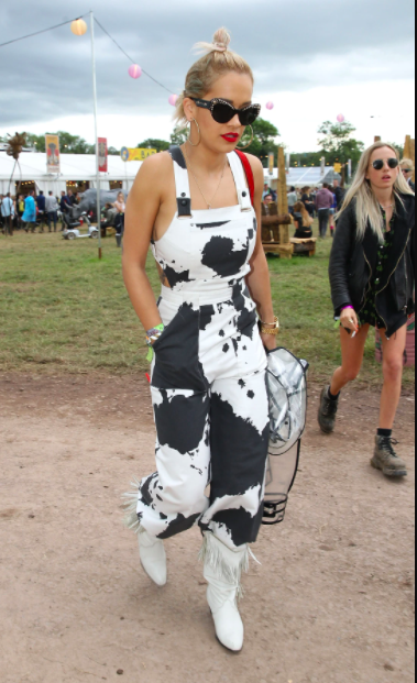 <p>The singer opted for cow-printed dungarees for the festival in 2017, knowing that anything goes as far as festival-style is concerned.</p>