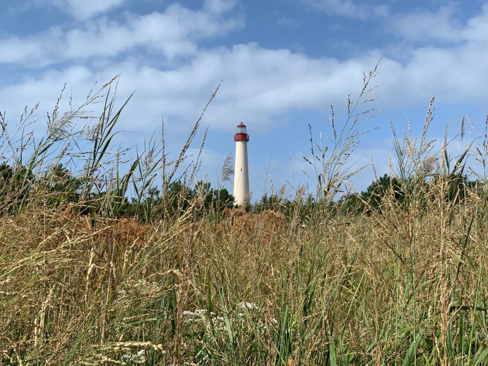 The Cape May Lighthouse attracts 100,000 visitors a year.