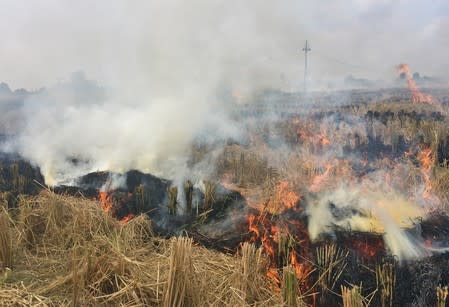 Smoke billows from paddy waste stubble as it burns in a field in Karnal district