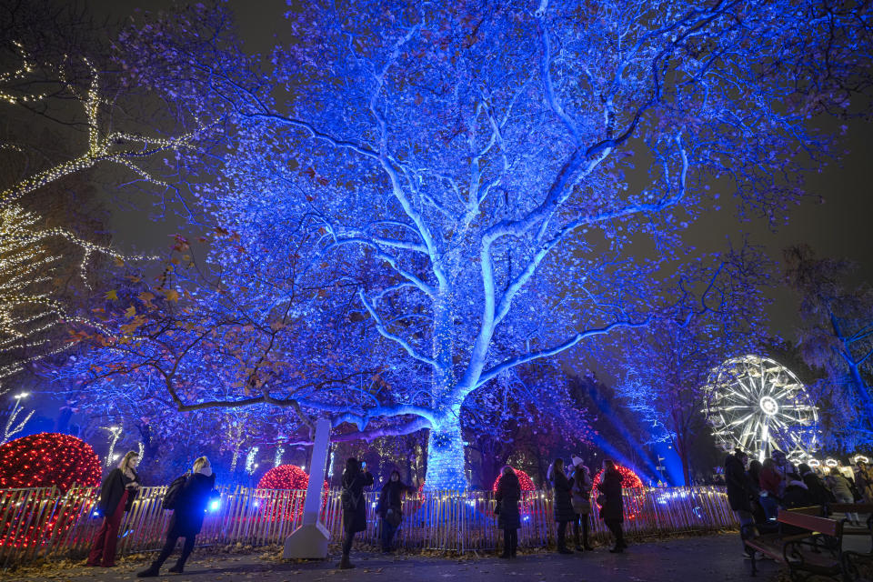 People take pictures of illuminated trees at a Christmas market in Vienna, Austria, Sunday, Nov. 21, 2021. The Austrian government announced a nationwide lockdown that will start Monday and comes as average daily deaths have tripled in recent weeks and hospitals in heavily hit states have warned that intensive care units are reaching capacity.(AP Photo/Vadim Ghirda)