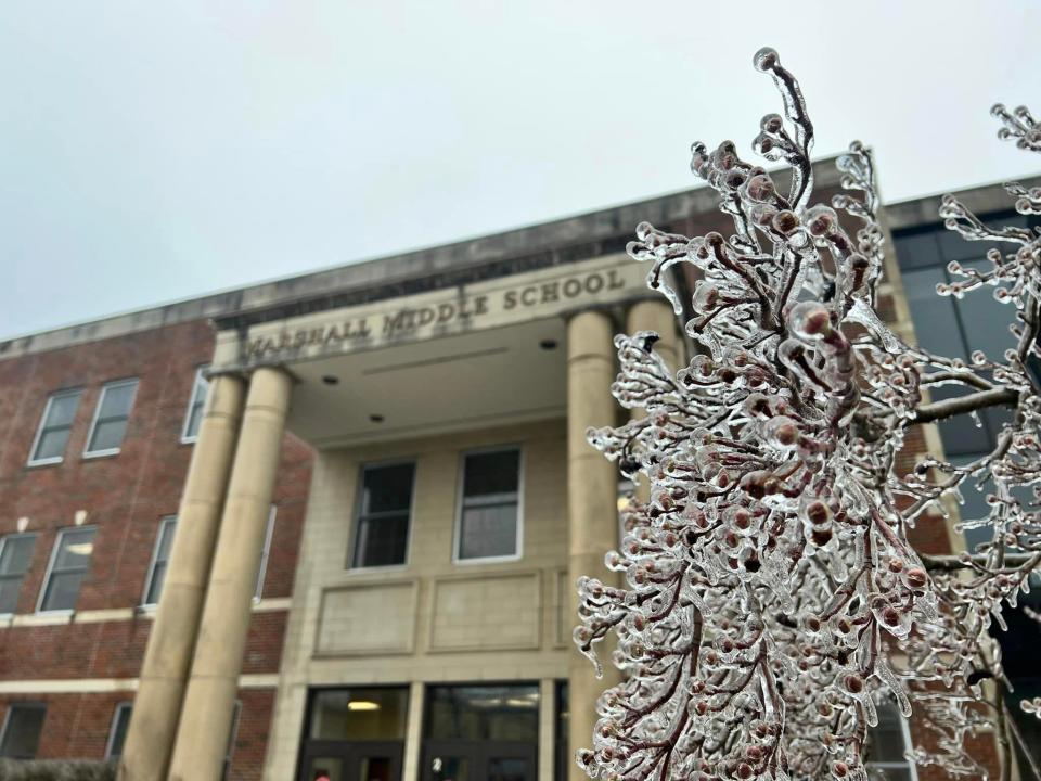 Ice covers branches outside of Marshall Middle School Thursday, Feb. 23, 2023.