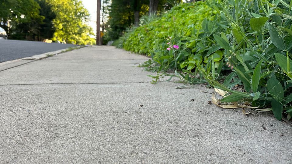 It's been more than a year since a stranger approached me as I sat in the middle of this stretch of sidewalk. I no longer remember her face, but I can still feel her warmth. - Catherine Shoichet/CNN