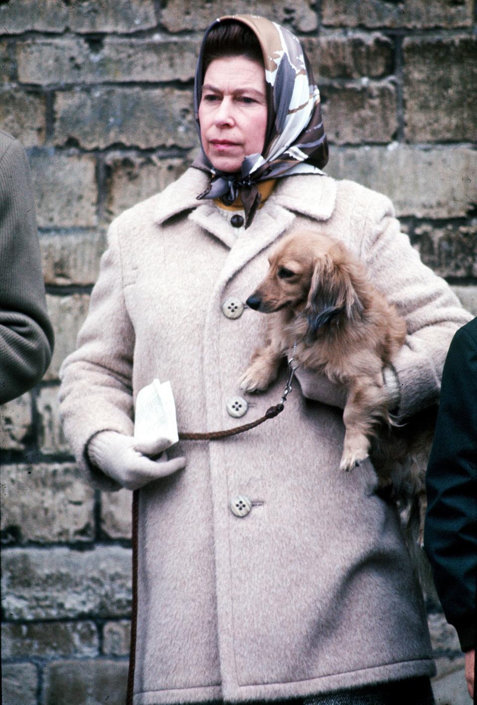 1976: Queen Elizabeth II with one of her favorite dogs at the Badminton Horse Trials in April 1976.