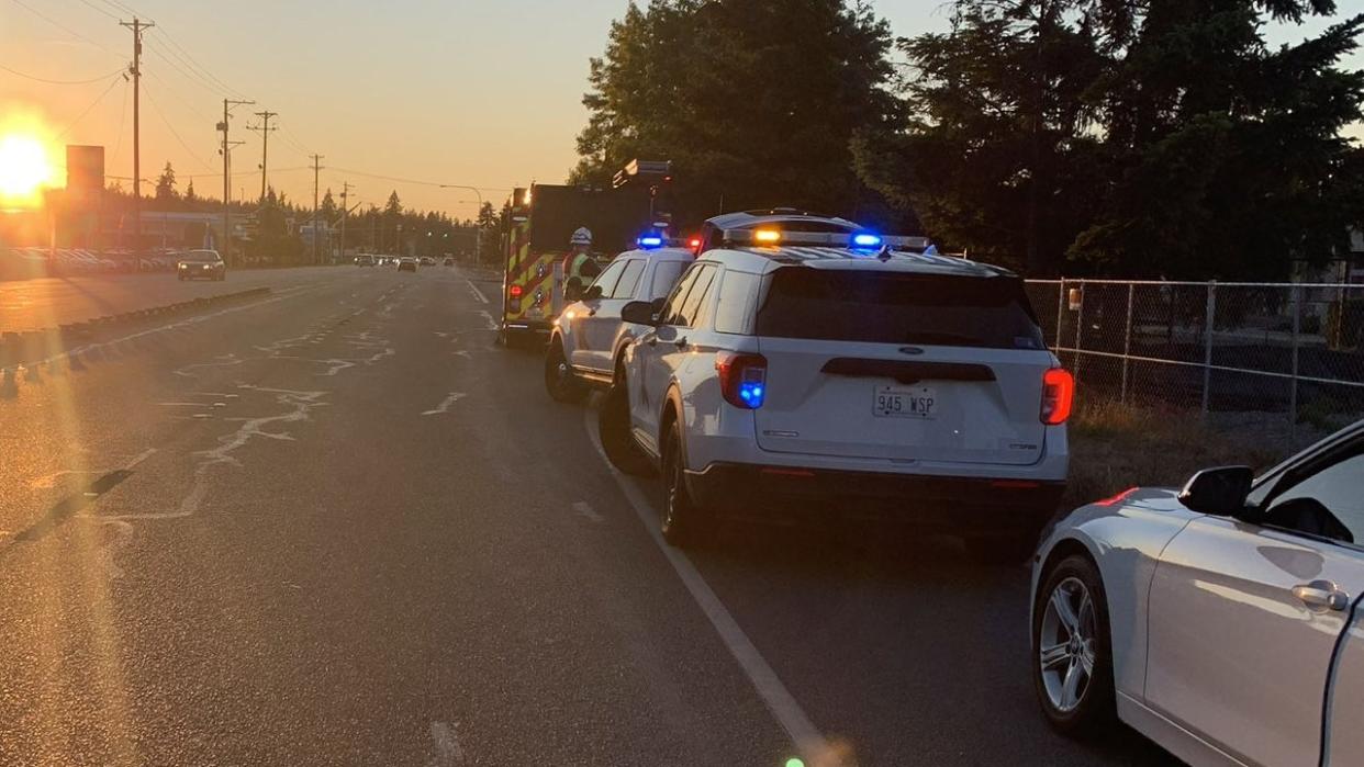 <div>"The pedestrian was on the northbound shoulder when they were struck by a vehicle (possibly a white sedan). The vehicle then fled the scene heading north" WSP Trooper John Dattilo via X</div>