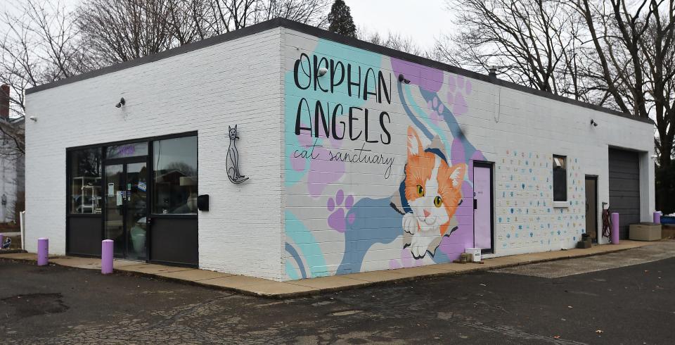 Orphan Angels cat sanctuary is shown in Millcreek Township on Feb. 28, 2024.