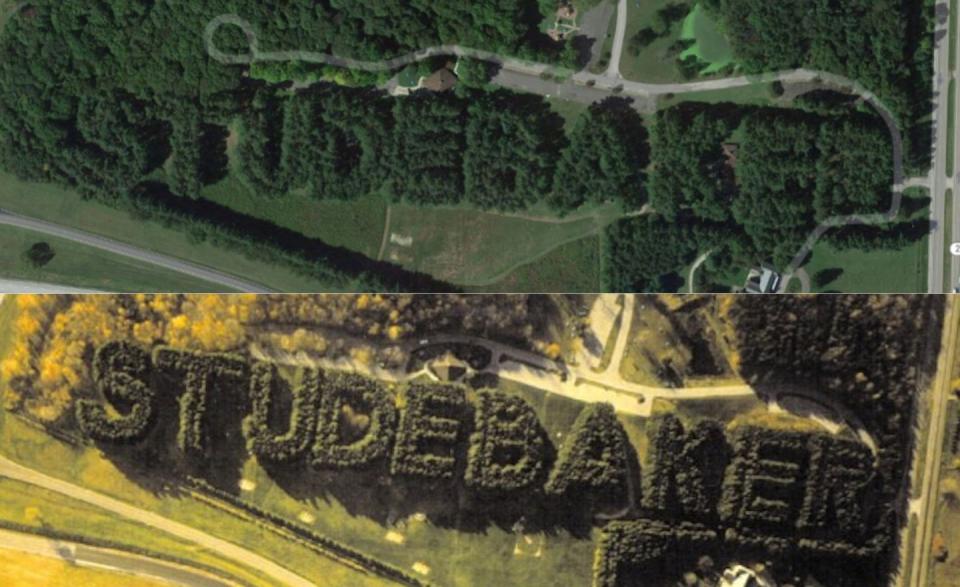 Studebaker Pines at Bendix Woods County Park