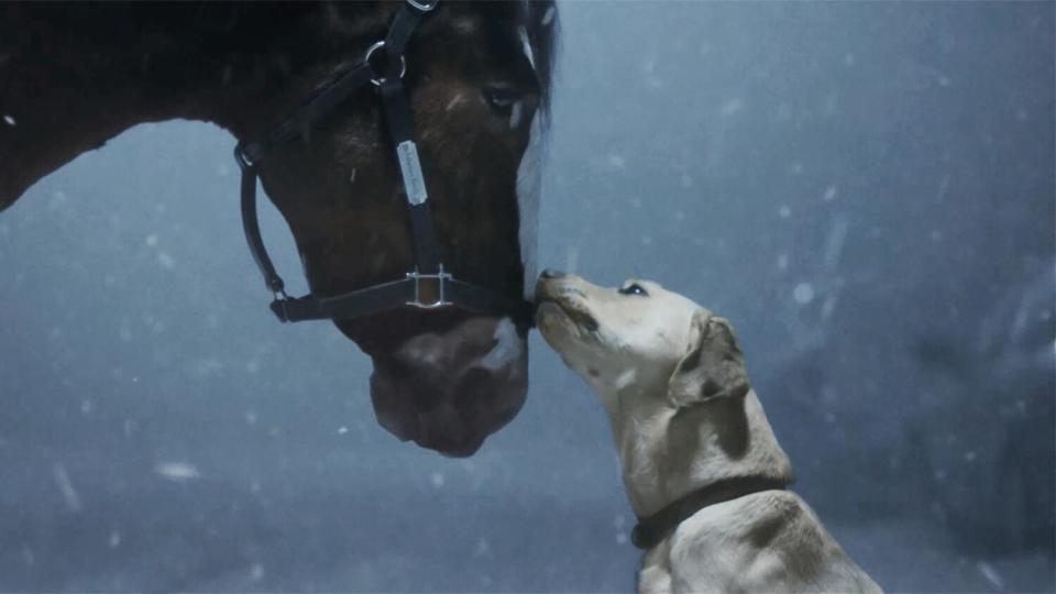 Esta foto proporcionada por Anheuser-Busch muestra el anuncio de fútbol americano de la NFL del Super Bowl de Budweiser 2024.