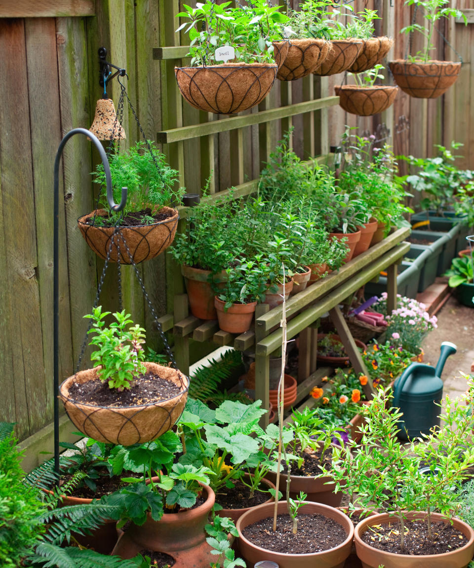 <p> Narrow garden? Look to vertical gardens. You can use old pallets or wood planks to build a shelving unit that will house several tiers of pot-grown herbs and veg. Add a few hooks at the top and hang some hanging baskets for more variety.&#xA0;Making use of vertical space is one of the best options if you&apos;re figuring out how to make a small garden look bigger. </p> <p> You can also buy a plant stand from Amazon and use that if you don&apos;t feel like DIYing this idea.&#xA0; </p>