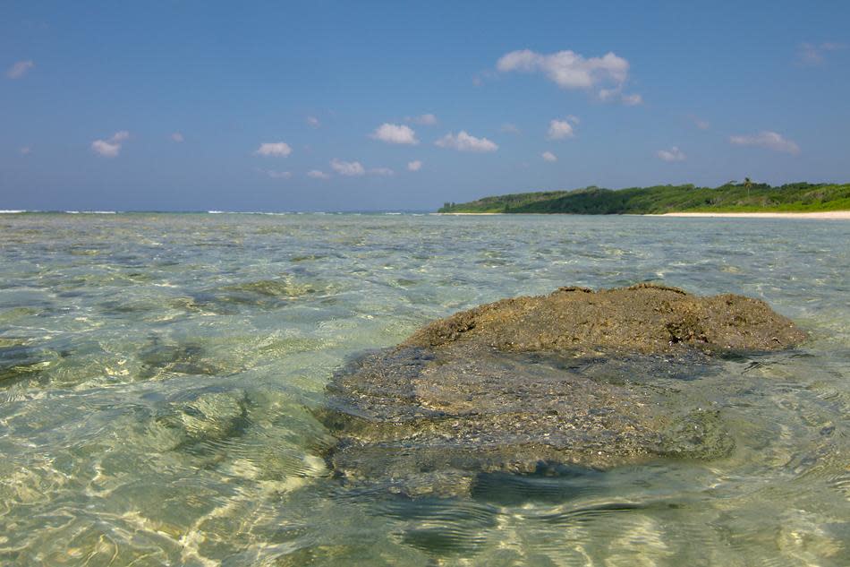 Andaman – the name brings to mind pristine beaches, clear emerald waters, lively coral reefs and lots of sunshine. This archipelago is also home to some of the most beautiful evergreen forests. The varied habitats have ensured that this island has a thriving eco-system, with many of flora and fauna found nowhere else in the world. Experience the natural bounty of these islands, up-close, in the following slides.