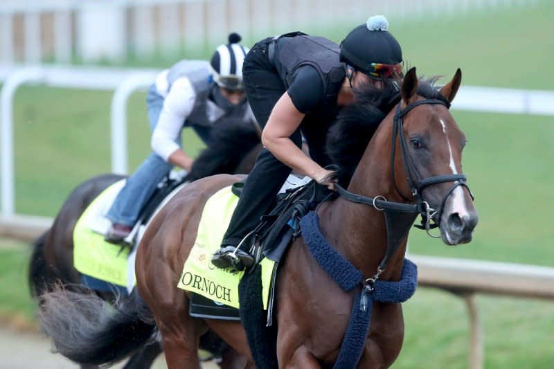 Dornoch (L), who won the Belmont Stakes on Saturday, and Endlessly are shown galloping on the track during morning workouts April 30 to prepare for the 150th running of the Kentucky Derby at Churchill Downs in Louisville, Ky. File Photo by John Sommers II/UPI